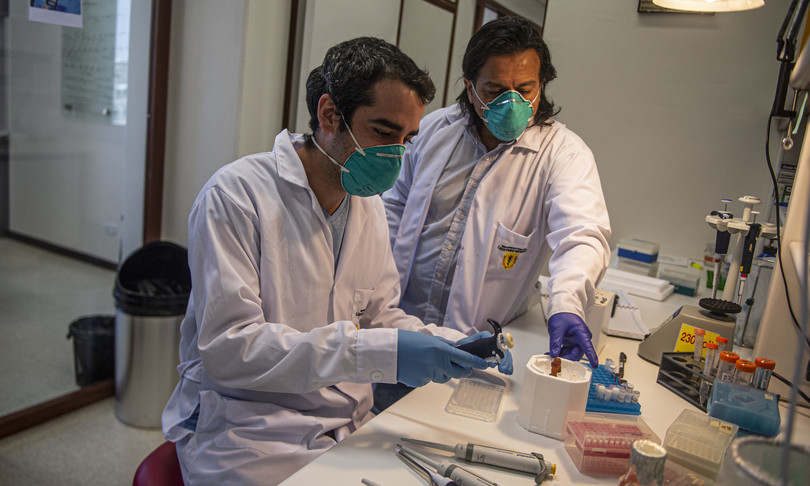 dati contagi coronavirus morti guariti