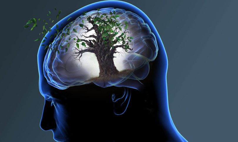 sovrappeso obesita cervello alzheimer