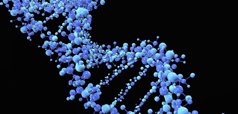 milano svela la grammatica del dna