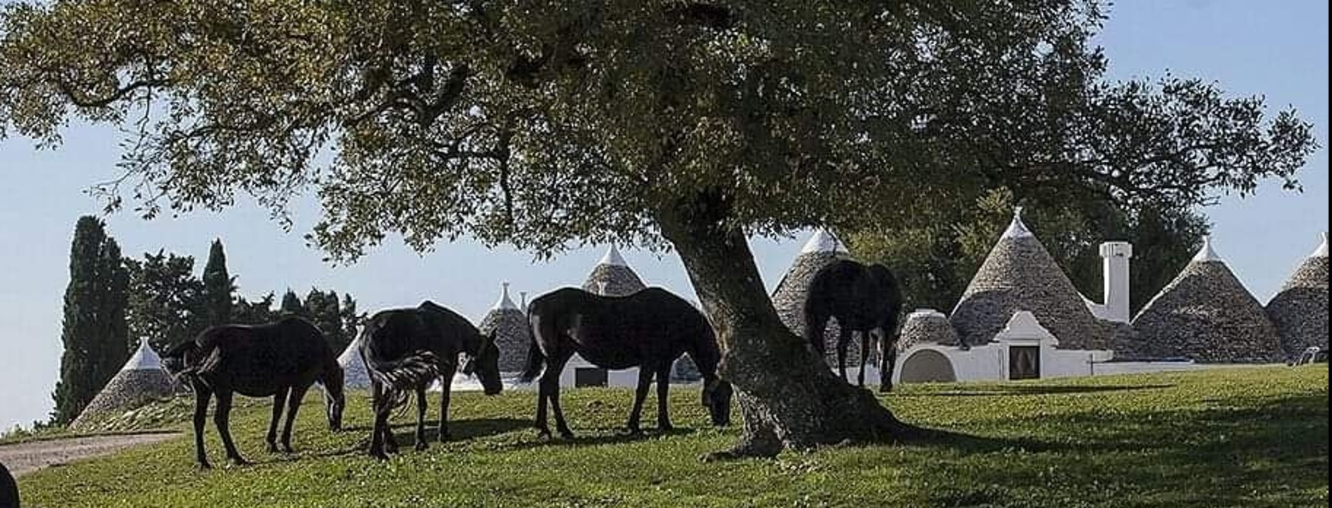 Il Festival dei Sensi, primo "safari culturale" d'Italia