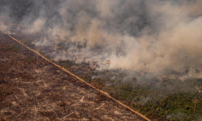 incendi foresta amazzonia greenpeace allarme