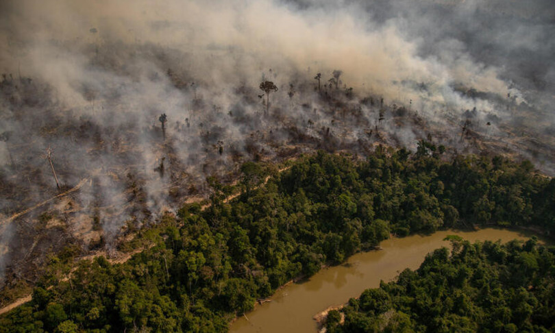 incendi foresta amazzonia greenpeace allarme