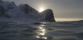 Il riscaldamento globale sta cambiando gli insetti parassiti dell'Artico