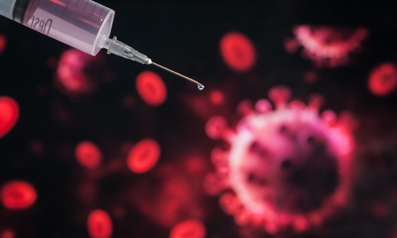 coronavirus vaccino solo a 10 per cento popolazione