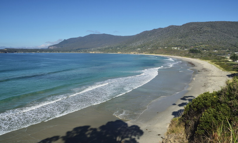 centinaia balene spiaggiate australia tasmania