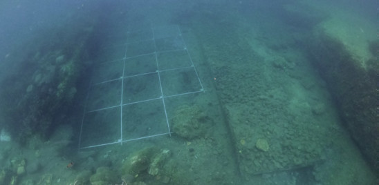 Nuove scoperte a Ischia, il mare continua a svelare tesori