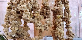 Dalle spugne nuovi modelli per costruzioni leggere e sicure