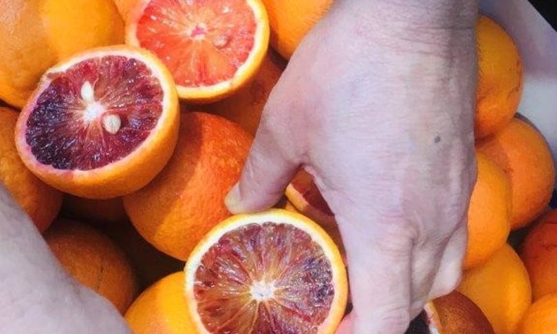 arance rosse Australia importate Sicilia
