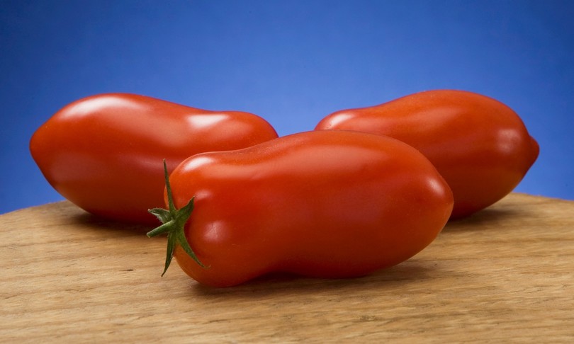 nuovo pomodoro San Marzano non piu solo rosso