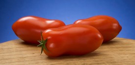 Il pomodoro San Marzano non sarà più solo rosso