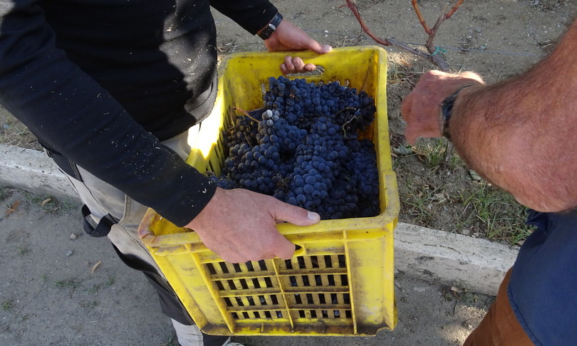 Vino Catanzaro Carcere