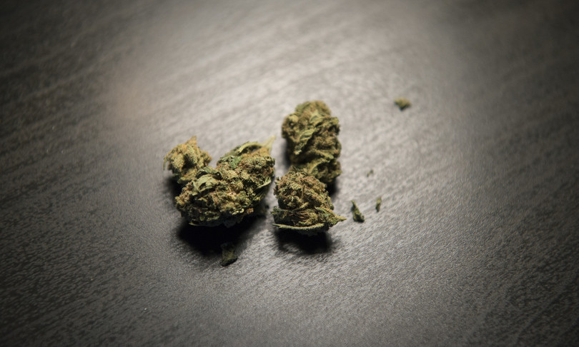 cannabis light diventa sostanza stupefacente