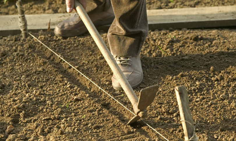 braccianti stranieri lavoro nero prendevano reddito cittadinanza