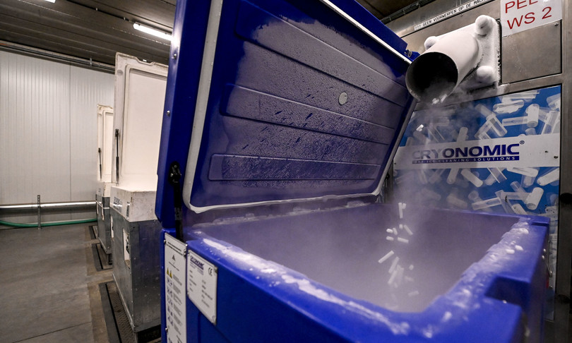 Covid Ups distribuire vaccino ghiaccio secco