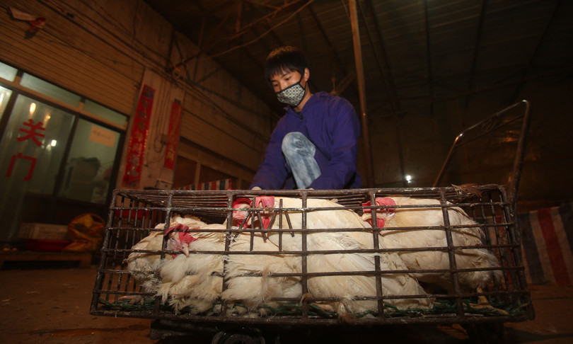 errori ritardi pandemia cina documenti segreti
