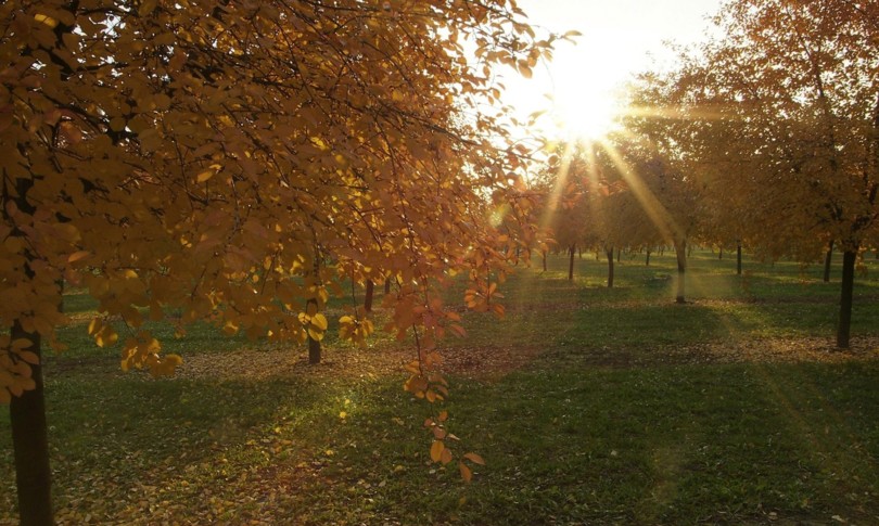 clima novembre mese piu caldo sempre