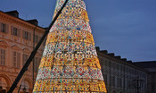 L'albero di Natale in piazza San Carlo a Torino