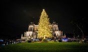 L'albero di Natale in piazza Venezia a Roma