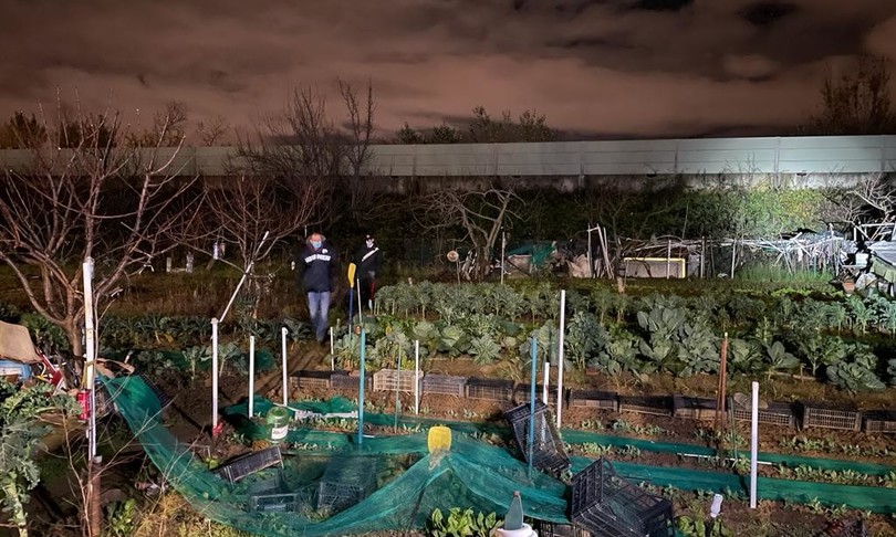 giallo cadaveri valigie spunta coppia albanese scomparsa
