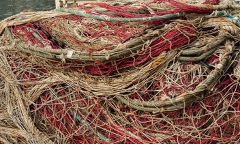 gran bretagna rabbia pescatori brexiteer accordo extremis