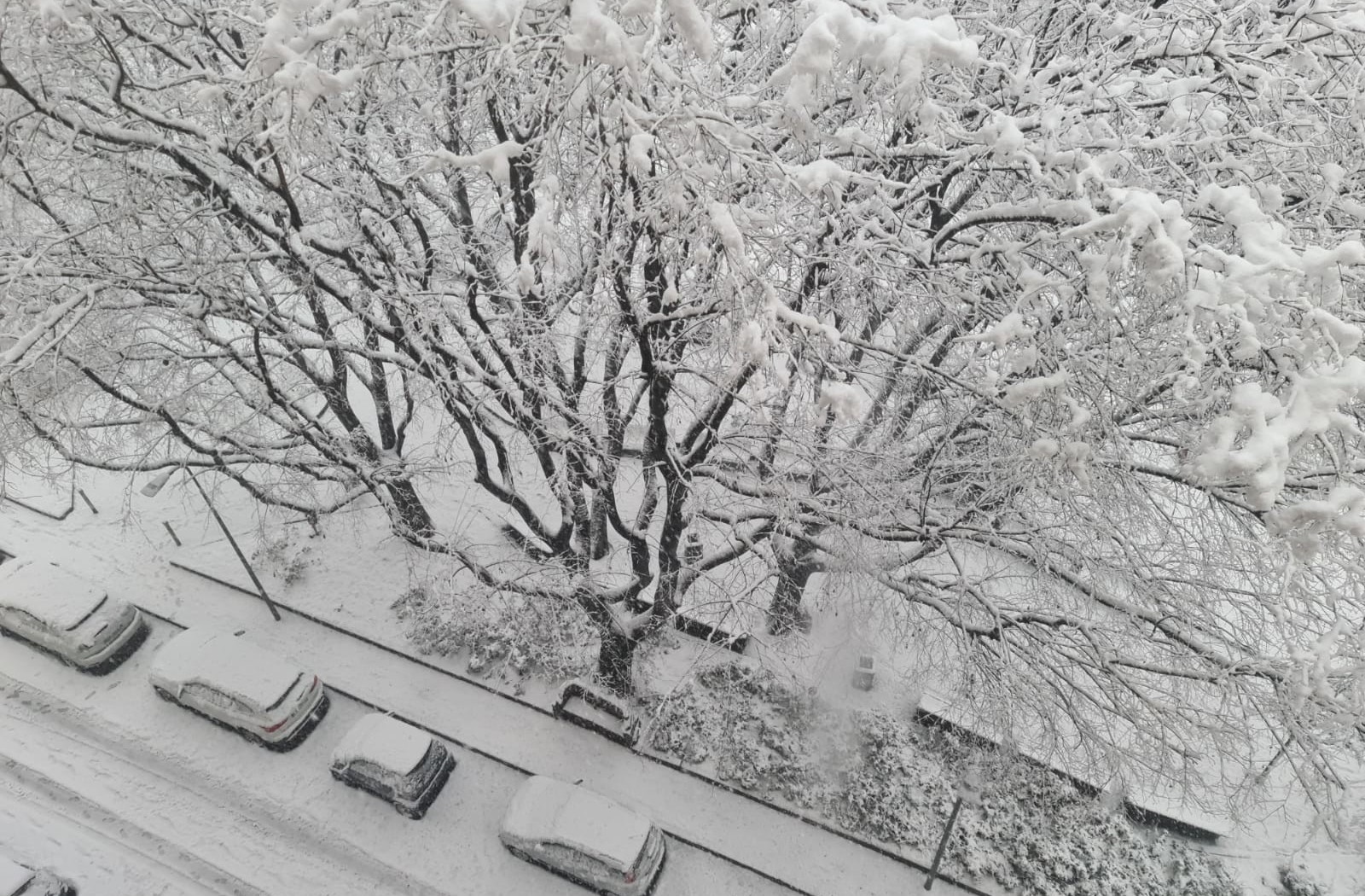 Maltempo, Milano sotto la neve