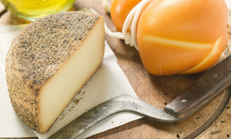 pecorino ricerca università politecnica marche