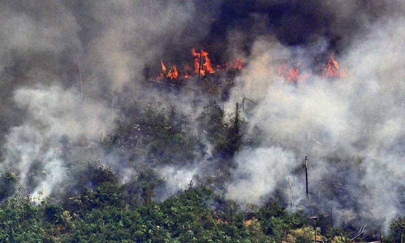 amazzonia record incendi 2020