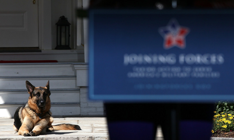 usa biden insediamento casa bianca cani