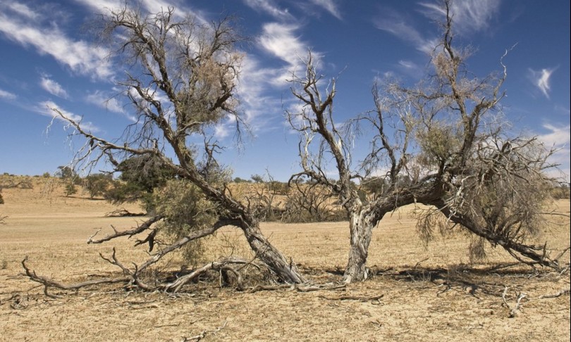 pianete su orlo collasso climatico