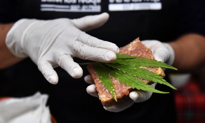 francia parziale legalizzazione cannabis consultazione online