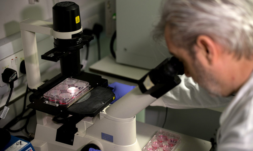 chi guarisce dal covid immune sei mesi
