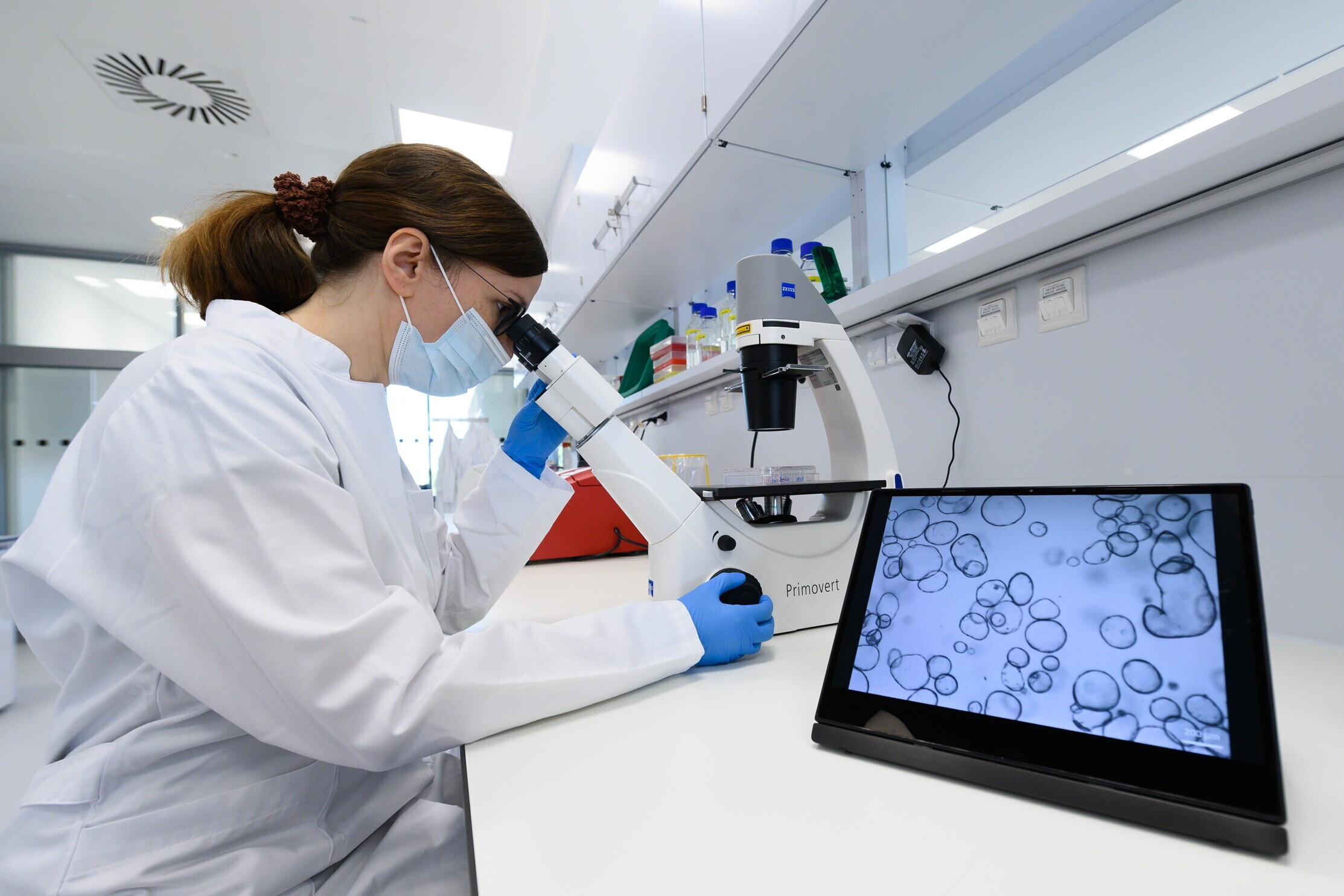 Inquinamento, stili di vita e il rischio onco-ematologico