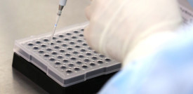 La melatonina prodotta nei polmoni può prevenire l'infezione da Covid