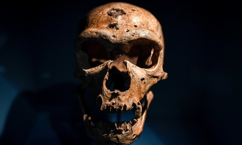 scienza scoperta microbiota feci neanderthal