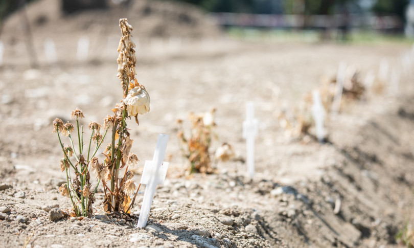 Salme scomparse cimitero Tropea