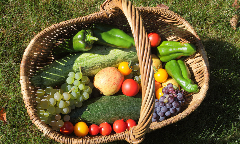 Millennials acquista Cuc Bio startup cibo bio