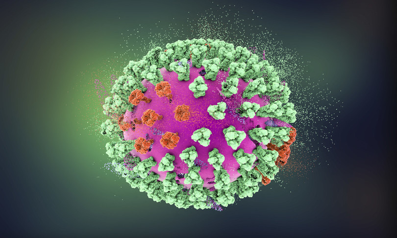 primo caso trasmissione a uomo di influenza aviaria h5n8