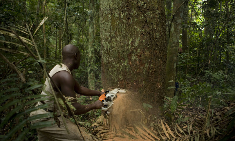Quanto vale tesoro Congo
