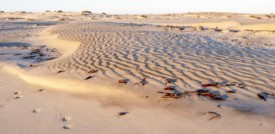 La vita sulla Terra potrebbe finire tra un miliardo di anni