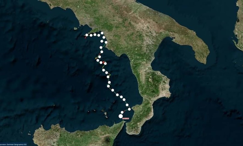 tartaruga eleonora salvata due volte