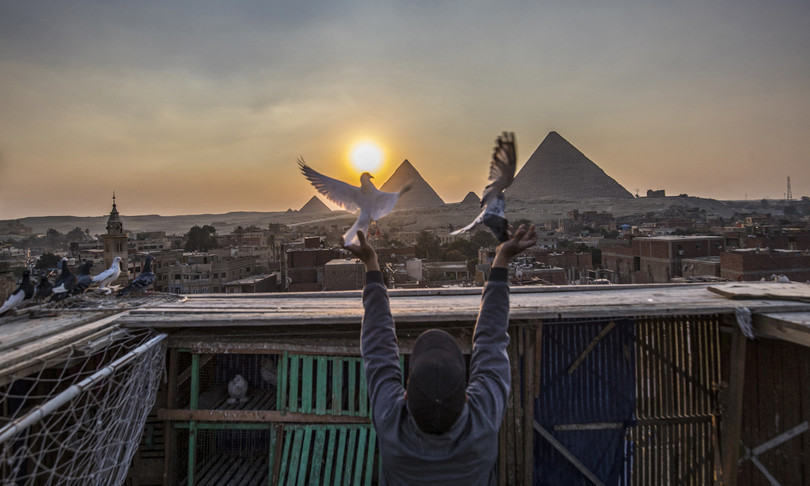 mondo arabo passione piccioni viaggiatori