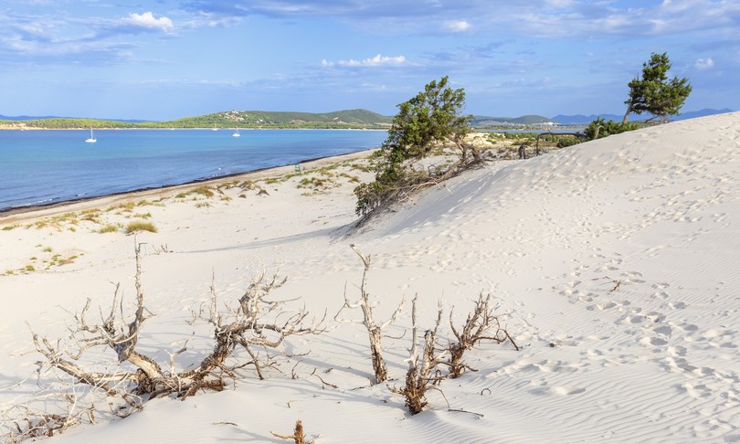 covid sardegna zona bianca prorogata
