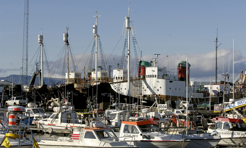 covid Islanda turismo vaccino
