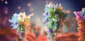 Le somiglianze tra la proteina Spike del vaccino e quella del virus