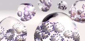 Gli scienziati insistono: aprite le finestre per proteggervi dal Covid
