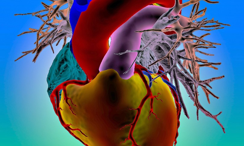 cardiocenter ospedale niguarda milano intervento cuore