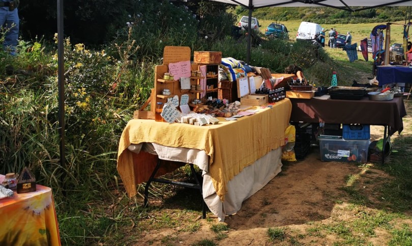 covid negazionisti sardegna raduno