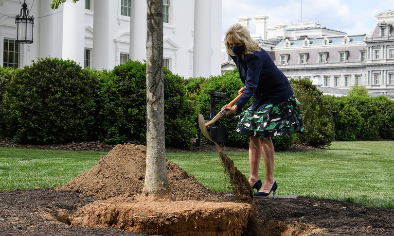 petizione jill biden rose garden