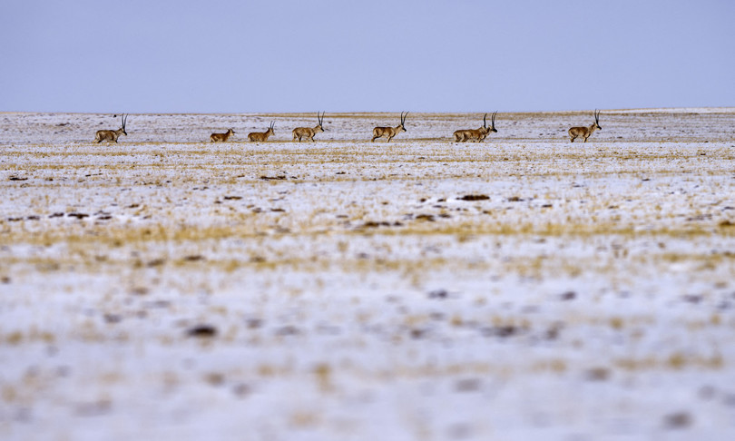 cina sisma qinghai altopiano tibetano