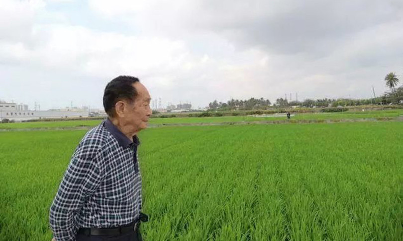 cina morto yuan longping riso ibrido